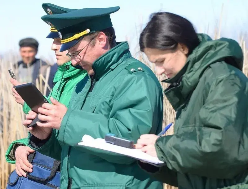 Объекты приема ОСС заблокированы в АИС ОССИГ Blokirovka Obektov Razmeshheniya V Ais Ossig